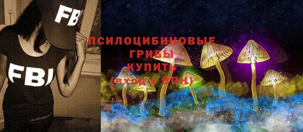 apvp Коряжма