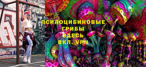МДПВ Костерёво